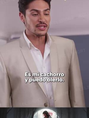 Vas a tener el bebé de Alpha, pero ¿te aceptará él?