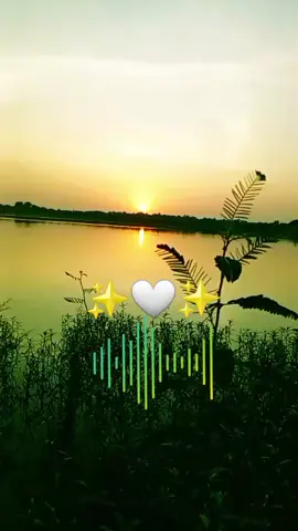 يا نفحه شذي الياسمين#مناظر_طبيعيه #مليون_مشاهدة❤ #متابعه_ولايك_واكسبلور_احبكم #الحمدلله_دائماً_وابداً 