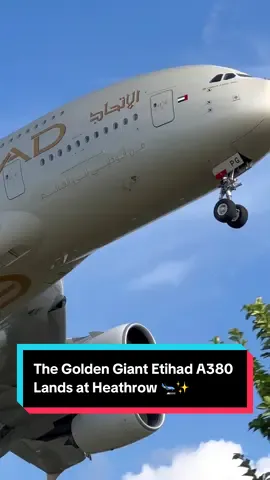 The Golden Giant Etihad A380 Lands at Heathrow 🛬✨ #Etihad #Airbus #Aviation #Fyp #viral 
