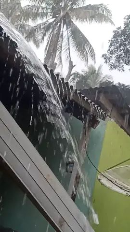 hujan lagi #rain  #nekmesepride🌴🔥 @nekone27 