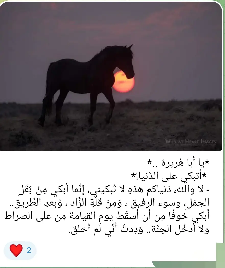 #اللهم_انك_عفو_تحب_العفو_فاعف_عنا 