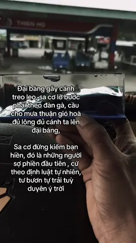 P7: cầu cho mưa thuận gió hòa #xuhuong 