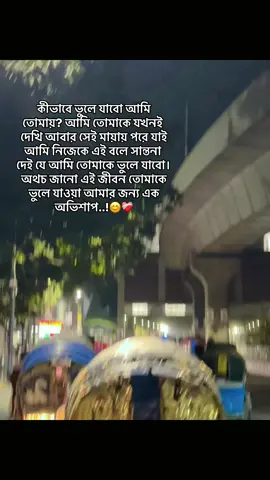 কীভাবে ভুলে যাবো আমি তোমায়? আমি তোমাকে যখনই দেখি আবার সেই মায়ায় পরে যাই আমি নিজেকে এই বলে সান্তনা দেই যে আমি তোমাকে ভুলে যাবো। অথচ জানো এই জীবন তোমাকে ভুলে যাওয়া আমার জন্য এক অভিশাপ..!😊❤️‍🩹#foryoupage #viral #fpyyyyyyyyyyyyyyyyyyyyyy @TikTok #bangladesh @TikTok Trends 