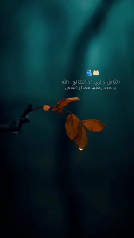🤍🕊️