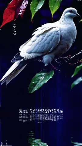 Kau sembunyikan #trend #lyrics #fypシ゚viral🖤tiktok #fypシ゚ #vibes 