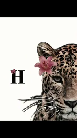 ‏#دويتو مع @🌷👀 #🙃🙃🙃 