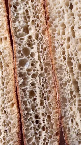 #اكسبلور #اكسبلورexplore #الشعب_الصيني_ماله_حل😂😂 #السعودية #فلسطين  بالنسبة للناس لي سولوني على وصفة الباكيط  ✅ باغيت بالطريقة الفرنسية التقليدية باستخدام الخميرة السائلة 📌 الوصفة تكفي لحوالي 5 باغيت بوزن 350 غرام للواحدة. --- 🧾 المقادير: دقيق فرنسي تقليدي T65 .......... 1000 غ ماء (درجة حرارة بين 64 و68 حسب قاعدة T° Base) .......... 600 إلى 620 غ ملح رمادي .......... 19 غ خميرة طازجة .......... 6 إلى 8 غ خميرة طبيعية سائلة (Levain liquide) .......... 250 غ ماء إضافي (للترطيب النهائي) .......... 40 إلى 80 غ 🧮 الوزن الإجمالي للعجينة: 1947 غرام --- ⚙️ الطريقة بالتفصيل: 1. التحضير الأولي (الأوتوليز Autolyse): ضع الدقيق والماء في وعاء العجان أو آلة العجن. اعجن على سرعة أولى مدة 4 إلى 5 دقائق حتى تتشكل العجينة. غطِّ العجينة بالبلاستيك واتركها ترتاح من 45 إلى 60 دقيقة حسب خصائص الدقيق المستعمل. 2. العجن الرئيسي: بعد انتهاء فترة الراحة: أضف الملح الرمادي، والخميرة الطازجة، والخميرة السائلة. اعجن لمدة 5 إلى 6 دقائق على السرعة الأولى، ثم 30 ثانية إلى دقيقة واحدة على السرعة الثانية، حتى تكتسب العجينة 