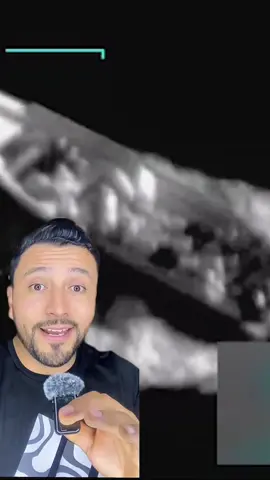 #creatorsearchinsights TRUMP 