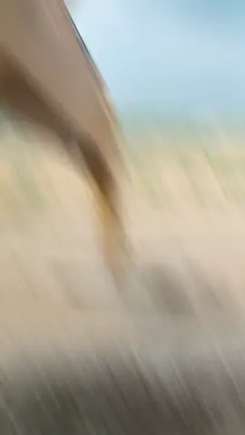 🙂