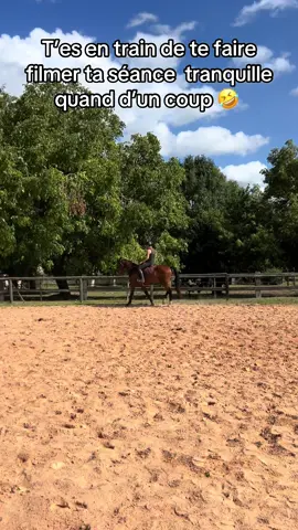 Tranquille Dominator 😅 pas stressé