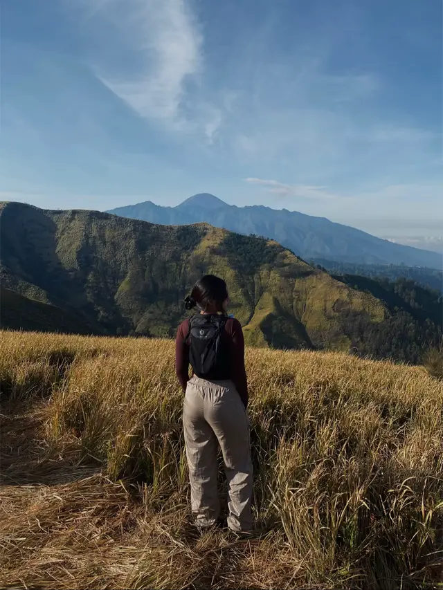 in the embrace of nature's beauty #bukitpremium #pasuruan #nongkojajar 
