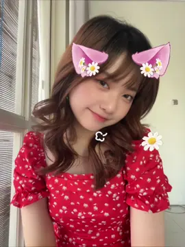 filter lucu