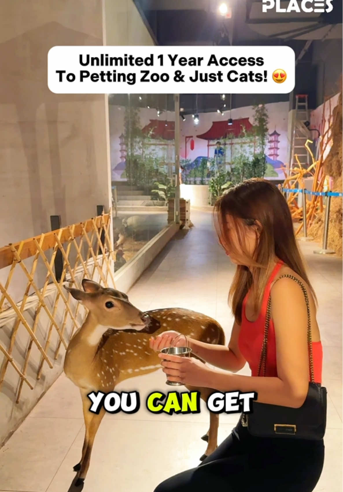 Unlimited 1 Year Access To Just Pet & Just Cats 😍🐈 . 📌 With the Just Pets Annual Pass, you and your family can enjoy non-stop animal encounters to Just Farm & Just Cats, fun-filled activities & exclusive perks that make every visit extra special 🐶🐱🦜🐰 . 🎉 What you’ll get with the Annual Pass: ✅ Unlimited access ALL YEAR (no more tickets hassle!) ✅ Special discounts & member-only perks ✅ Freebies & mystery gifts along the way ✅ Perfect for families, animal lovers & weekend outings . 👉 Get Annual Pass Here: https://shop.justpets.asia/en_MY?ref=DR0Y83 (Link In Bio) . 【 Just Pets】 📍Level 1, IOI Mall Damansara, Petaling Jaya . #Justpets #Justcats #IOIDamansara  