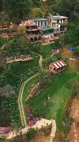 “Có lẽ Đà Lạt không có lỗi, chỉ là lòng người đổi thay thôi… Mình giữ kỷ niệm đẹp, còn họ giữ lựa chọn của riêng họ.”#dalatcham 