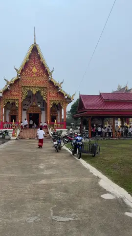 ทำบุญวันพระ ประเพณี 12 เป็ง  ประเพณีเมืองเหนือล้านนา🙏  #วันพระ #ทําบุญ #ประเพณีสิบสองเป็ง #บ้านดงอินตา #แม่ใจ 