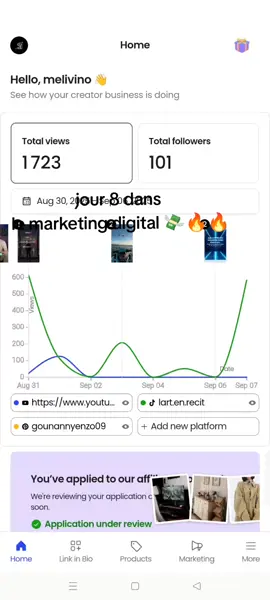 1. #MarketingDigital 2. #BusinessEnLigne 3. #EntrepreneurTikTok 4. #SocialMediaMarketing 5. #tiktokbusiness 