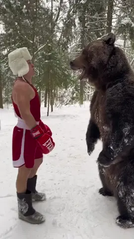 Who wins man or bear 🐻 #fyp #boxing🥊 #edit #edits #viralvideos 