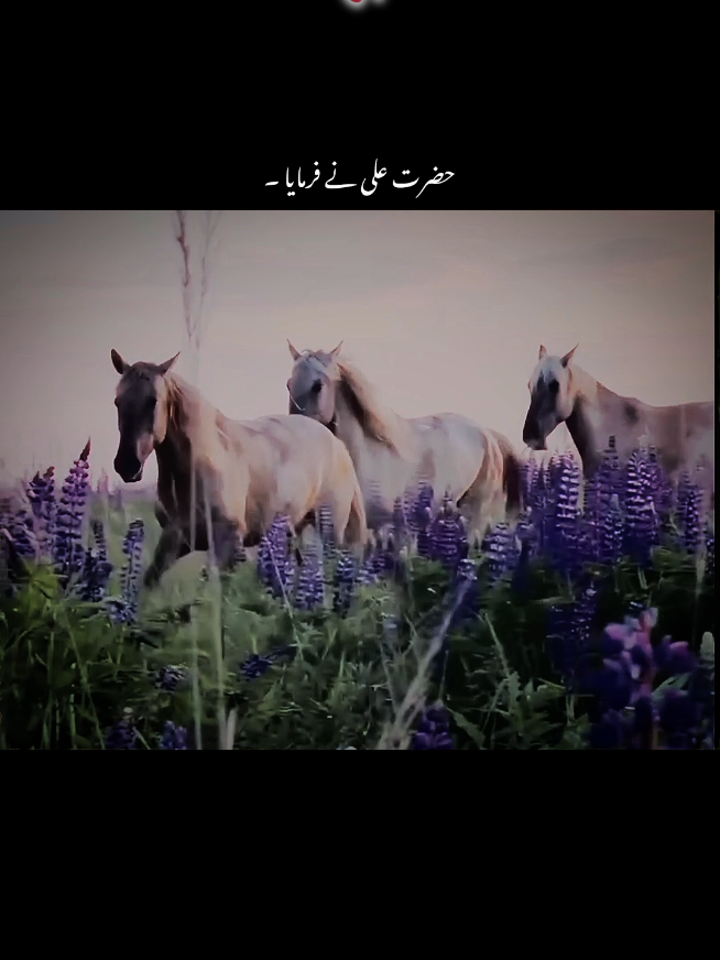 beshak 🙌❤️‍🩹#1millionaudition#aesthetic#foryoupage#foryou#poetrystatus 