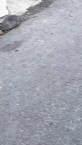 🥰🥰#miom3 #miosulawesiselatan🏁 #fypppppppp #fyppp #fypppppppppppppppppppppp 