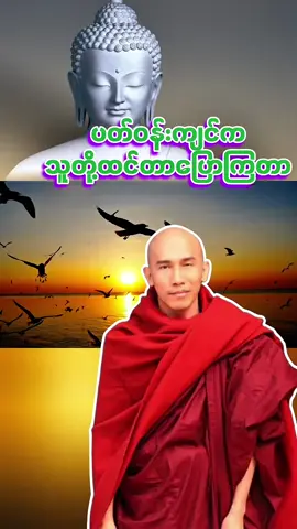 ပတ်ဝန်းကျင်ဆိုတာ  #သစ္စာရွှေစည်ဆရာတော် #တရားတော်များ2025အစအဆုံး #တရားတော်များနာယူနိုင်ပါစေ🙏 #တရားတို #foryoupage 