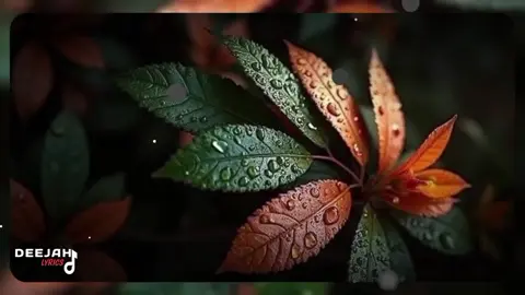 @𝐌𝐀𝐍𝐒𝐎𝐎𝐑 𝐋𝐘𝐑𝐈𝐂𝐒✰✫✯ @𝑴𝒖𝒉𝒂-𝒍𝒚𝒓𝒊𝒄𝒔🌷🌷 #viral?tiktok🥰 #arewa__tiktok #fypシ 