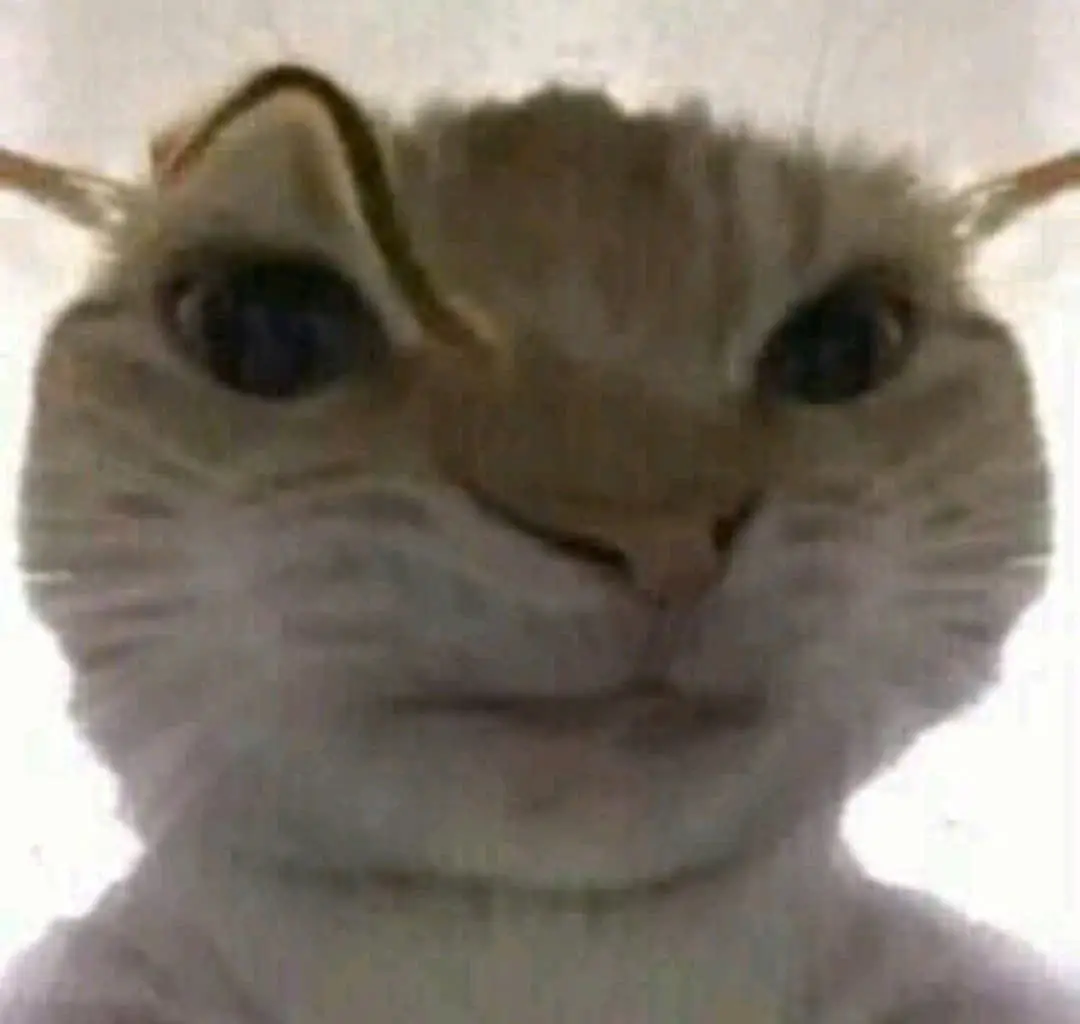 @𝐄𝐂𝐇𝐎 𝐈𝐍 𝐒𝐏𝐀𝐂𝐄 🔭★🌠 