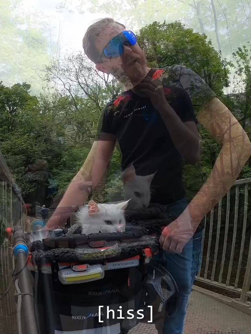 Hate to burst her bubble, but... 😂🐱 Hiss of the Day 106. Support us on Patreon: https://www.patreon.com/TravisAndSigrid Buy us a coffee: https://www.buymeacoffee.com/sigirides  Visit our shop: https://sigirides.bigcartel.com/ . . . #gatos #michis #kissa #pishi #pusa #kot #kit #chat #kedi #katze #gatto #katt #貓 #ネコ#고양이 #kucing #kotek #cats #cat #catlife #pets #catoftheday #sigrid #london #bike #cyclingphotos #bikelife #fixedgear #trackbikes