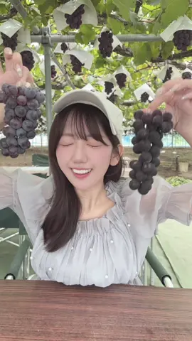 おばあちゃんとぶどう狩りいったよ🍇🫶🏻 #ぶどう狩り #果物 #フルーツ狩り #新潟 #巨峰 