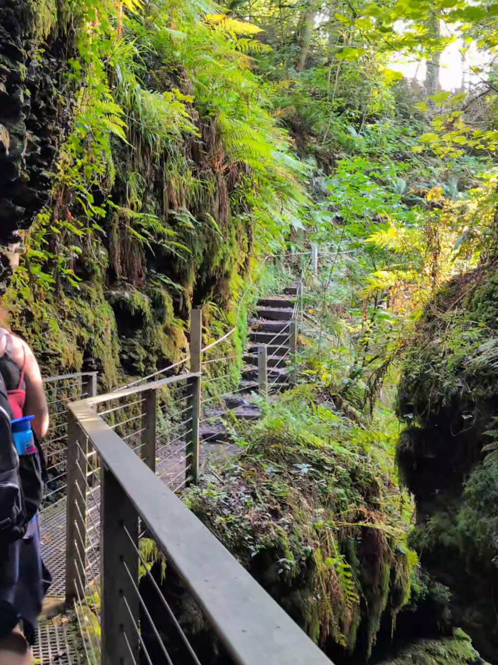 lydford gorge in Cornwall  #nature #adventure #cornwalluk #Hiking 