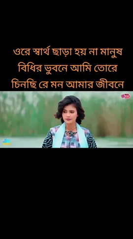 টিক টক অফিসিয়াল বাংলাদেশ ভাইরাল ফর ইউ গানটা একটু শোনেন ভাইরাল 