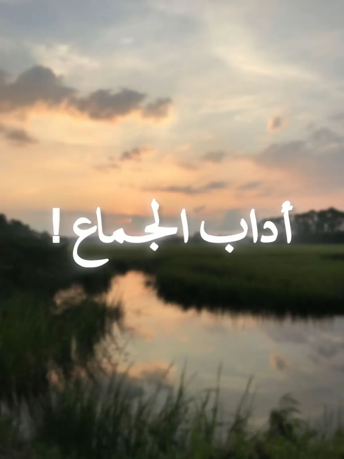 #ذكر_فأنه_الذكره_تنفع_المسلمين 