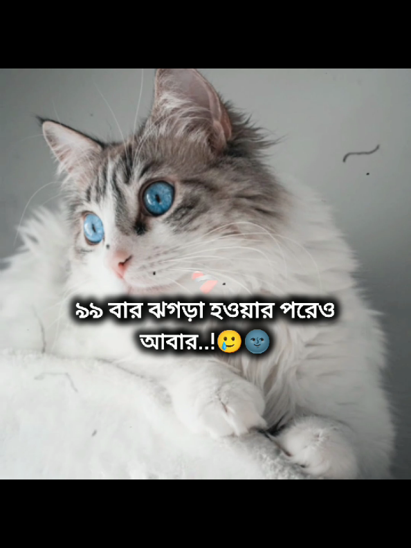 সত্যি বলছি না বেস্ট ফেন্ড..!🥲🌚#foryoupage #foryoupage🌸 #foryoupage🌸💝 #its_me_durjoy07 @For You @TikTok @TikTok Bangladesh 