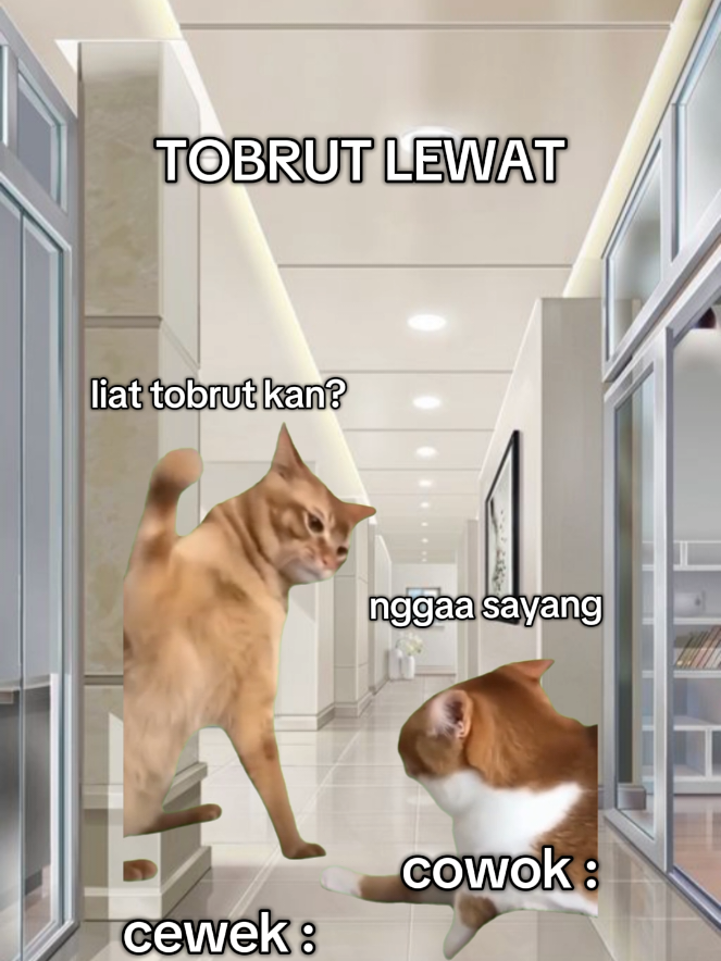 boong bgt klo ga liat 😌 #foryou #meme #kucing #anvoidr #fyp 