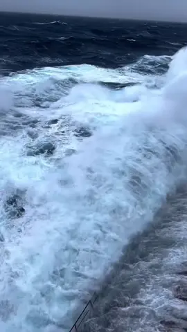“شغل البحر يبان مغامرة.. لكنه في الحقيقة اختبار يومي للعزيمة والرجولة 🌊⚓
