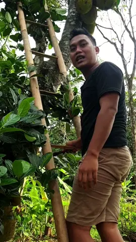 terserah orang menilai apa #komedi #ngapak #foryou #fyp 