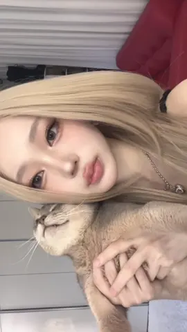 우리 웅이 완전 콩떡같지 #fyp #고양이 #korean 