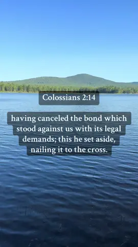 means Jesus canceled the legal debt of our sins by 