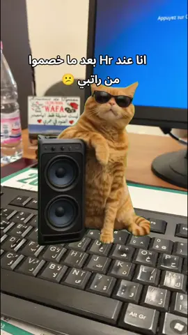 #Meme #MemeCut #CapCut #foryou #fyp #الشعب_الصيني_ماله_حل😂😂 #ضحك_وناسة #ضحك😂 #worklife #workoutmotivation #work #شغل #شغل_نضيف_نضيف #حقيقة #constantine #algeria 