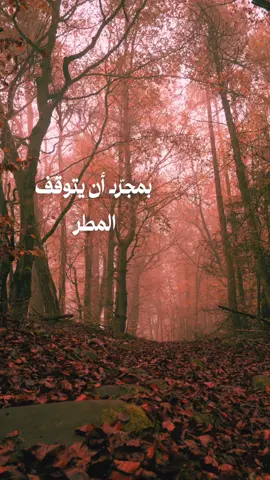 الوفاء لا يسقط بإنتهاء الحاجة #fyp #حكم #خواطر #خواطر_عبارات_اقتباسات #اكسبلور 
