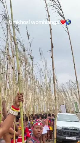 #umkhosiwomhlanga #nocopyrightinfringementintended #ubuntombi 