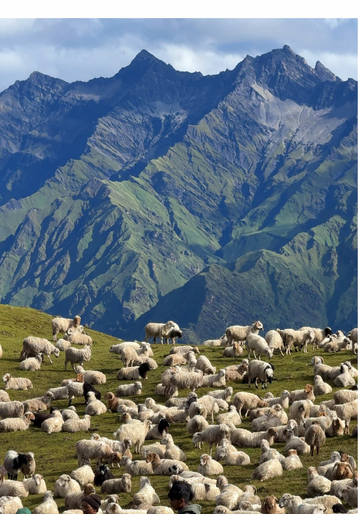 #dhorpatan_hunting_reserve_nepal  #visitnepal #explorenepal  #baglung 