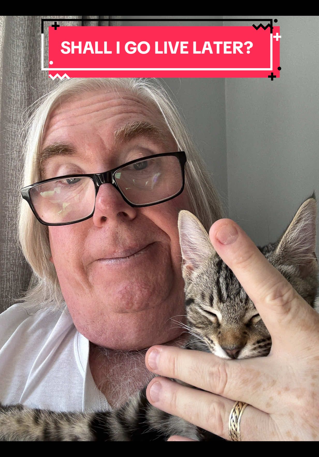 HELLO SUNDAY. Shall I go live later? #bigoggie #cornwall #cat #catsofttiktok #live 