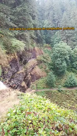 vacaciones de mi  cumpleaños #paratii #madregaia #despertardelaconciencia #
