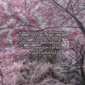 #щитпост #щп  