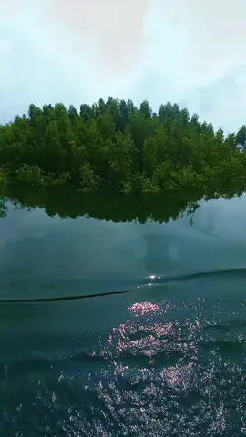 Những tháng ngày bên nhau ....