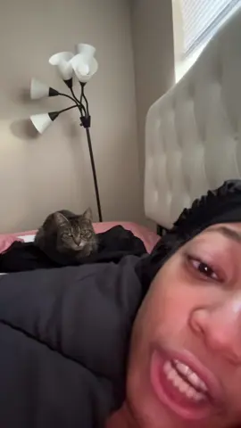 BRING UR BEST CAT OUT #catsoftiktok #cat #fyp