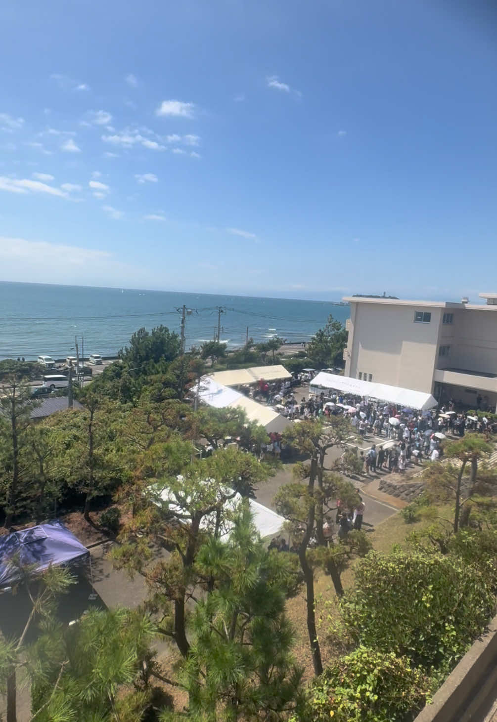 今年も文化祭は大盛況 #青春 #日本一海に近い高校 #文化祭 #08 #fyp 