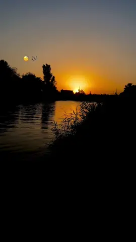 صحبه كاس ليل وكعكه غمان 🎶😴#راحه_نفسيه #صحبه #كاس ليل 