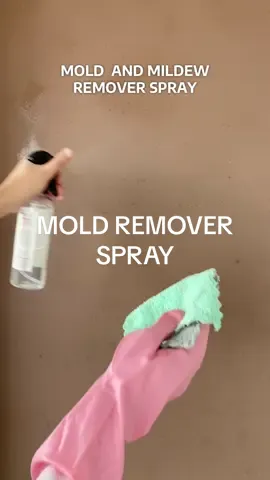 Mold and mildew remover spray. Let the power of tea tree oil do the cleaning. No bleach, no damage, no stress. Price may vary. #mold #moldandmildewremover #moldandmildew #moldremoverspray 