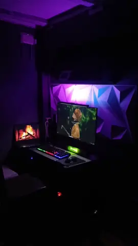 #fyp #setupgaming 